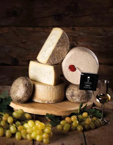 L'Audace pecorino con grappa Roccatoscana