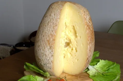 Occhiato di Greci Perla dei Greci