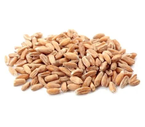Farro decorticato 500 g Cosimo Chiriasi
