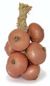 Cipolla ramata intrecciata 1 kg GB Agricola
