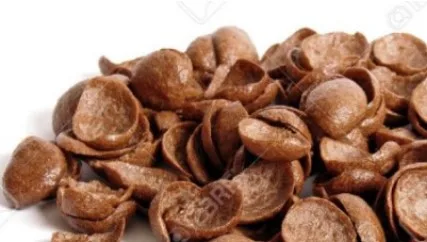 Choko shell monoporzione 50 g Prima Colazione