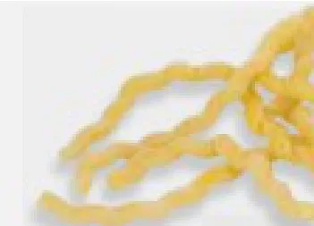 Fusillo napoletano pasta fresca 500 g Nonna Viola