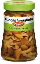 Funghi famigliola naturale D'Amico