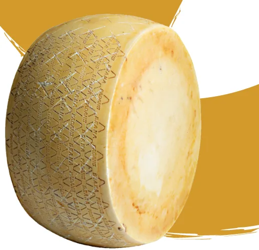 Grana Padano retinato forma intera Grana Retinata