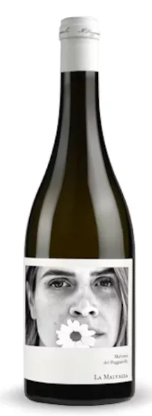La Malvagia Malvasia Emilia IGT 2022 75 cl Cantine 4 Valli