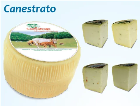 Canestrato classico Campolongo