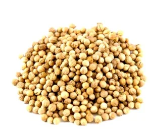 Semi di coriandolo 1 kg Teorema