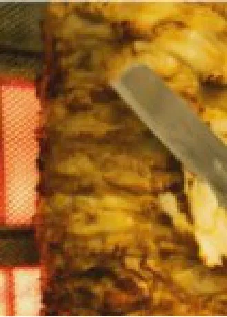 Kebab di pollo