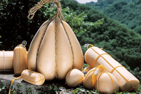 Provolone piccante cilindrico Pizzighettone