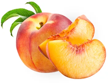 Tuttafrutta 100% frutta in purea 1,5 kg (altri gusti) Albert
