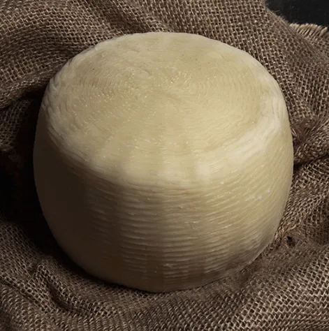 Caciotta di bufala bianca Ponte Molinello