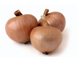 La Genovese Napoletana Classica Gb Agricola
