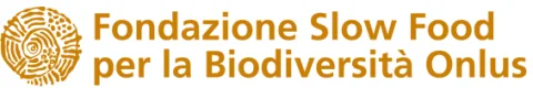 Olive nere in salamoia intere San Giovanni Olive Caiazzane
