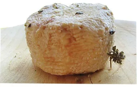 Conciato Romano
