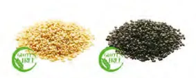 Olio di sesamo puro 100% Foodex