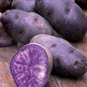 Patata Viola Patate