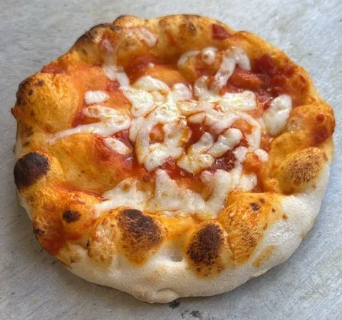 Pizzetta Margherita GELO Sarrajamo
