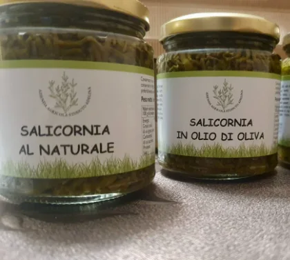 Salicornia al naturale