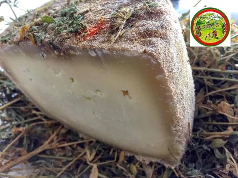Pecorino di Bagnoli Irpino affinato Aglianico Raiamagra