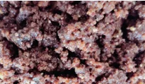 Fanta Crumble Cioccolato Elenka