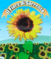 Logo Fiore di Sorrento