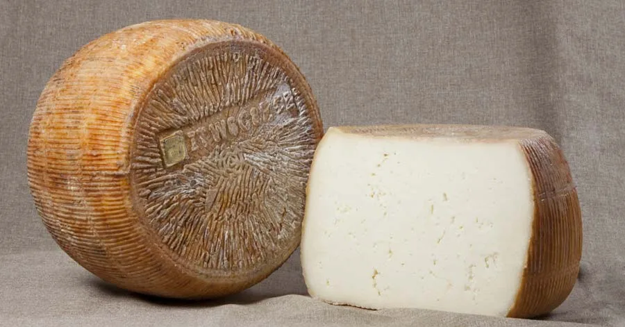 Pecorino a latte crudo di Salernitano La Colliano