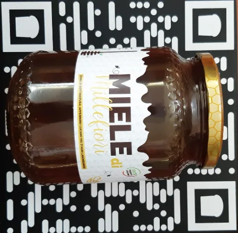 Miele Millefiori L’Ape Regina