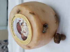 Pecorino Bagnolese Aromatizzato ai porcini