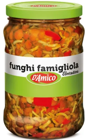 Funghi famigliola naturale D’Amico