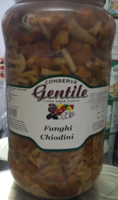 Tris di funghi conditi in olio di girasole Gentile