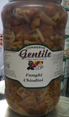 Tris di funghi conditi in olio di girasole Gentile