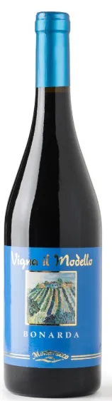 Barbera Valle Cima Monterucco