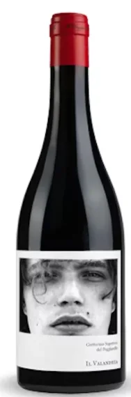 Il Valandrea – Gutturnio Superiore Doc Cantine 4 Valli