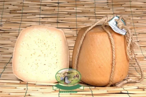 La Caciotta Campagnola Perla dei Greci