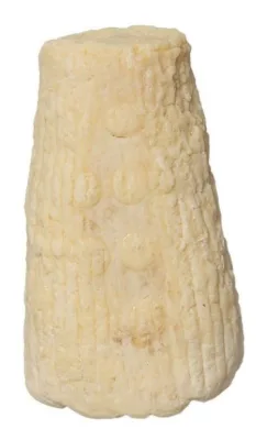 Cacioricotta al tartufo Raiamagra