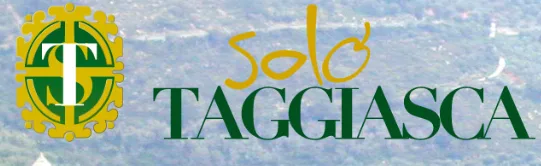 Olive taggiasche in salamoia Solotaggiasca