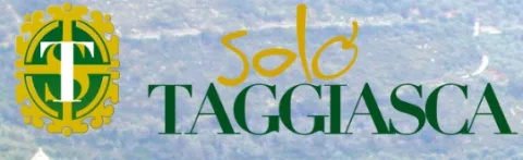 Olive taggiasche in salamoia Solotaggiasca