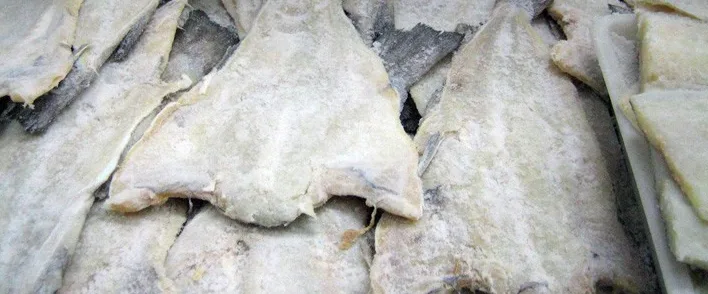 Filetto salato di baccalà Baccalà Islandese