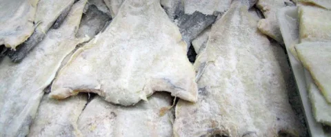 Baccalà salato di prima qualità AAA Baccalà Islandese