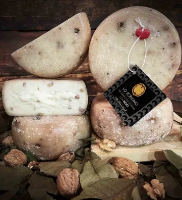 Lo Scrigno Pecorino con noci Roccatoscana