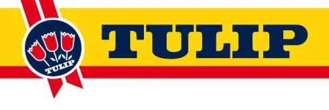 Logo Tulip