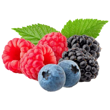 Frutti di Bosco Albert