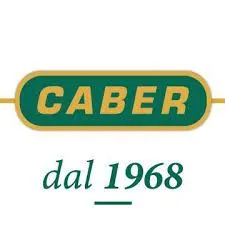Logo Caber