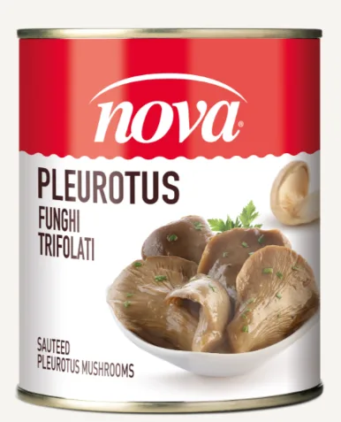 Funghi Pleurotus Trifolati Nova